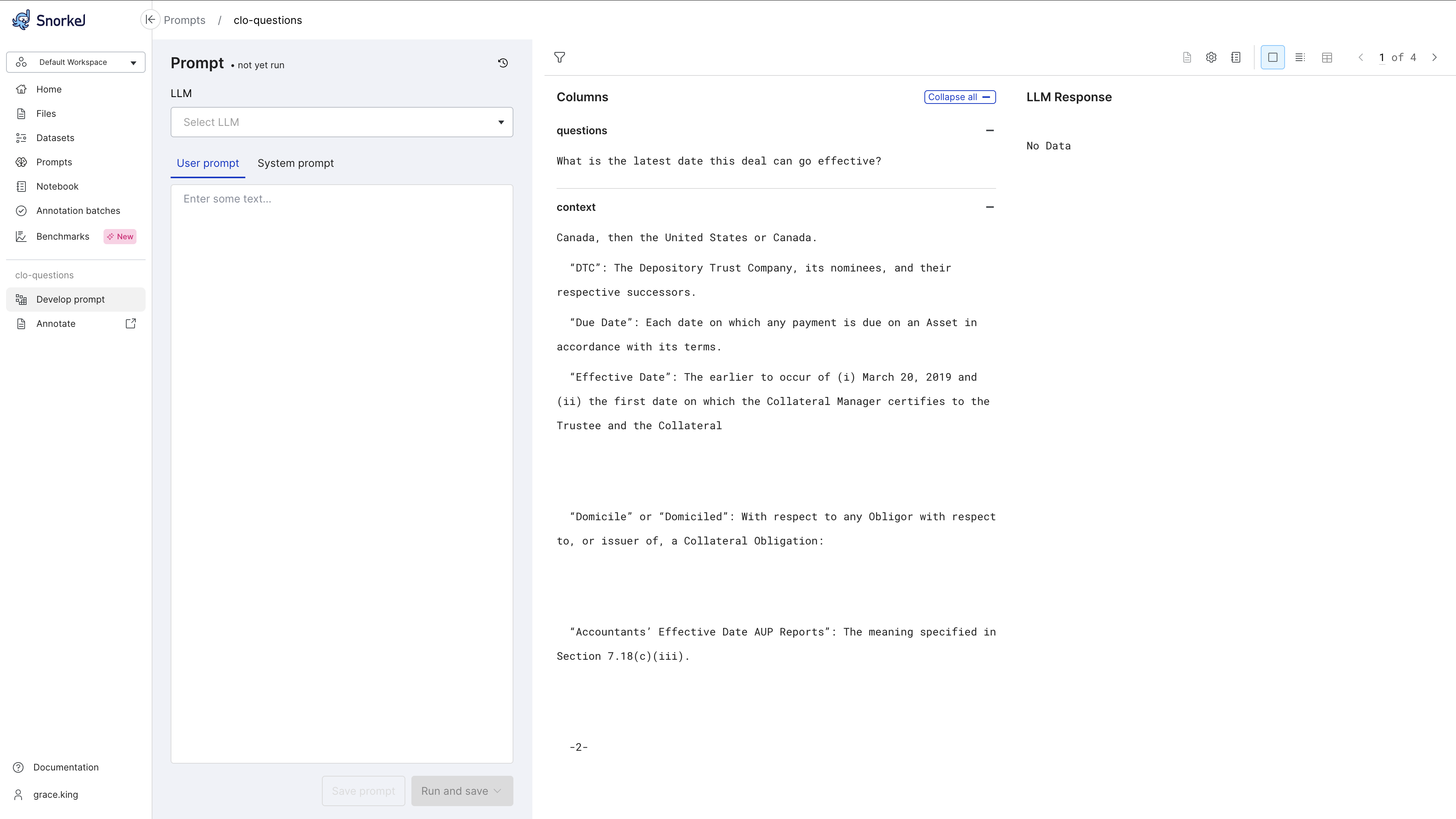 Inital prompt workflow page. View and page through your input dataset.