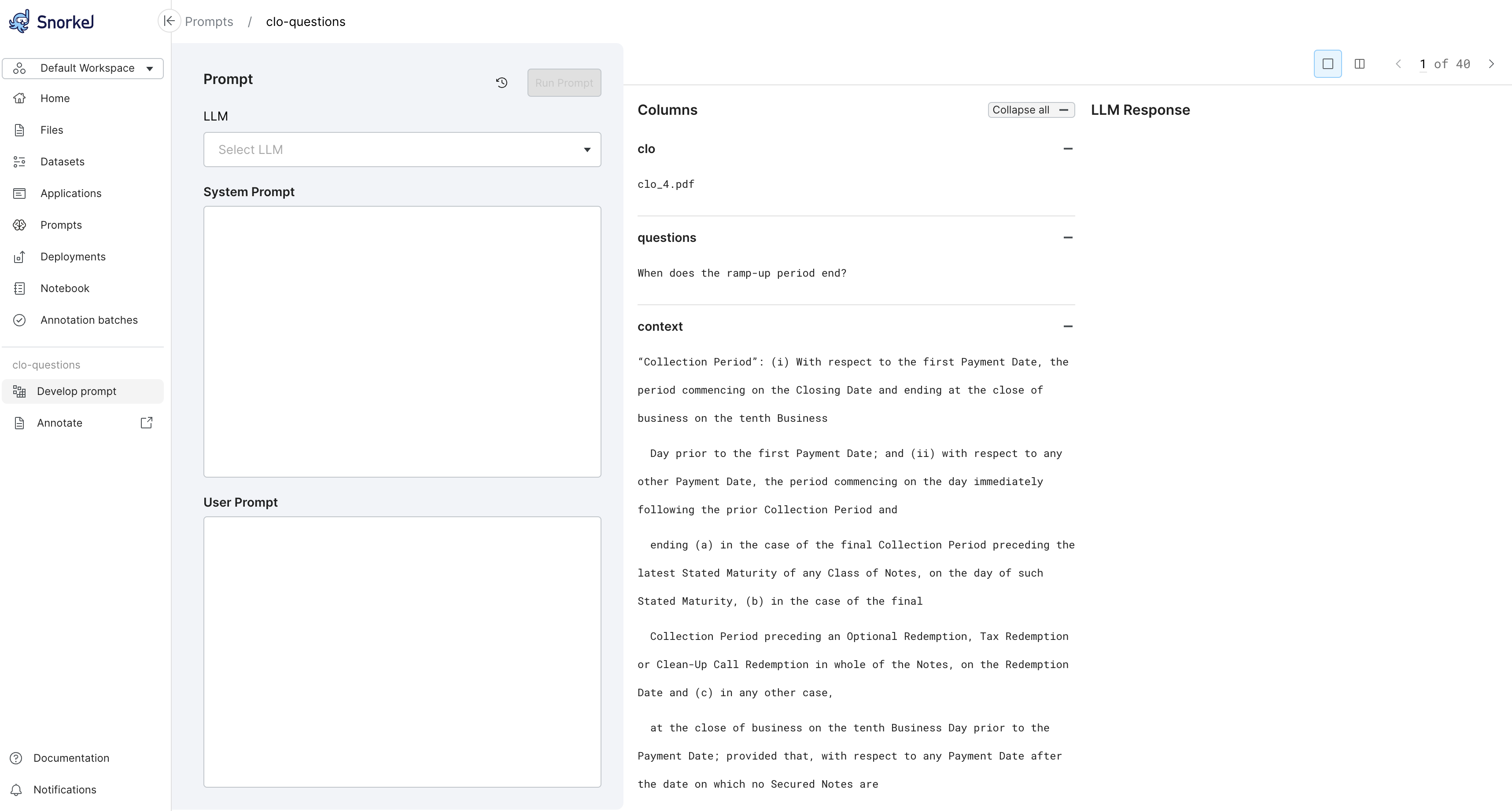 Inital prompt workflow page. View and page through your input dataset.